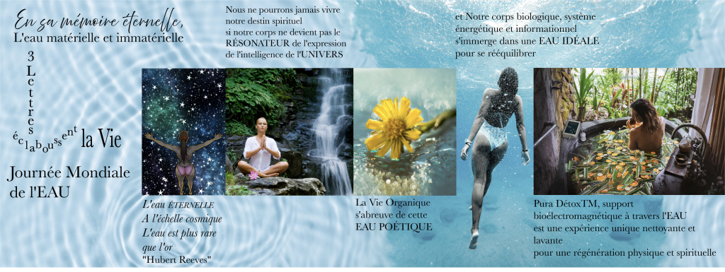 Le corps adulte de l'homme est composé à 60% d'eau, partagée entre l'eau présente dans nos cellules (eau intracellulaire) et l'eau qui inonde celles-ci (eau extracellulaire).